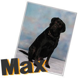 Max